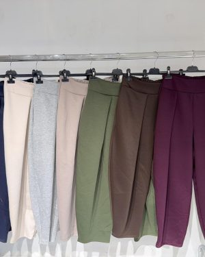 0260960 Pantalon chándal pinzas